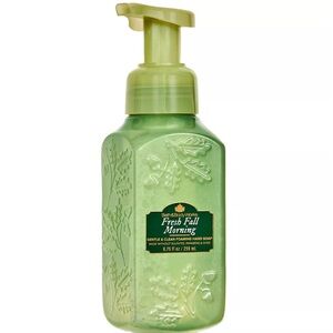 🍁🍃 BBW Fresh Fall Morning Hand Soap NEW